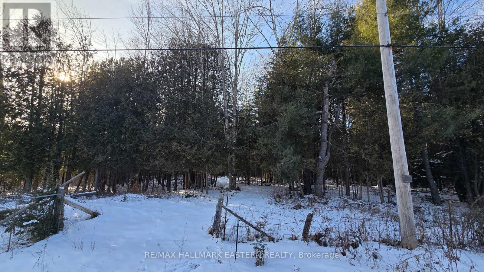 N/a County Road 46, Havelock-Belmont-Methuen (Belmont-Methuen), Ontario  K0L 1Z0 - Photo 6 - X11909834