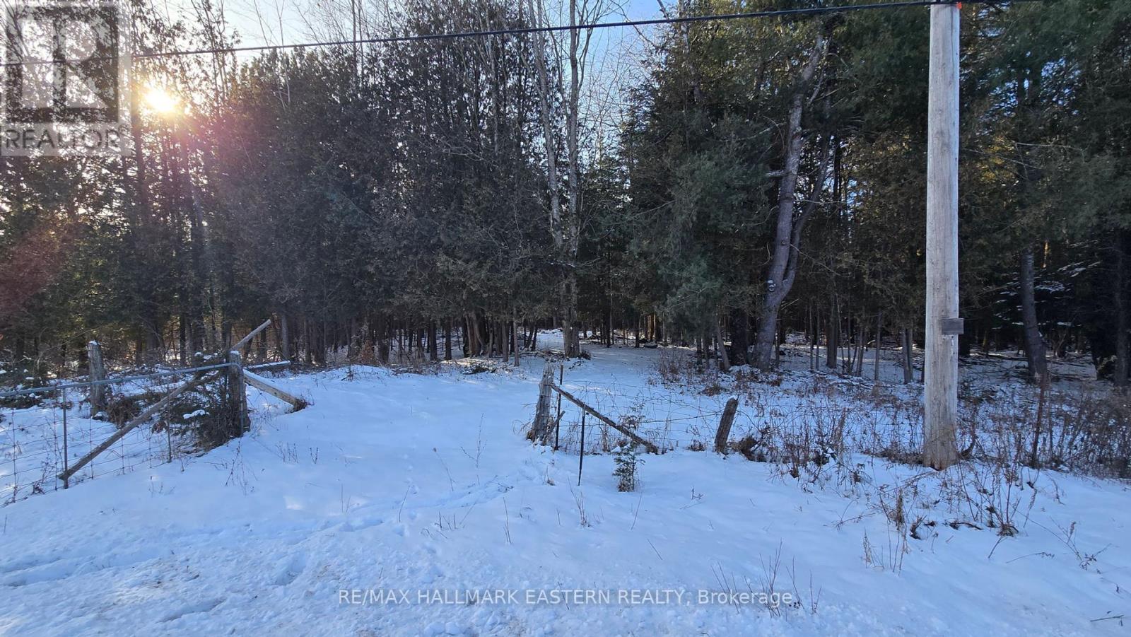 N/a County Road 46, Havelock-Belmont-Methuen (Belmont-Methuen), Ontario  K0L 1Z0 - Photo 7 - X11909834
