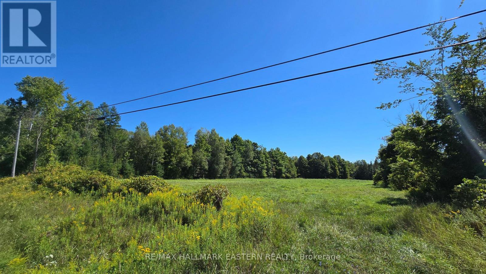 N/a County 48 Road, Havelock-Belmont-Methuen (Belmont-Methuen), Ontario  K0L 1Z0 - Photo 5 - X11914817