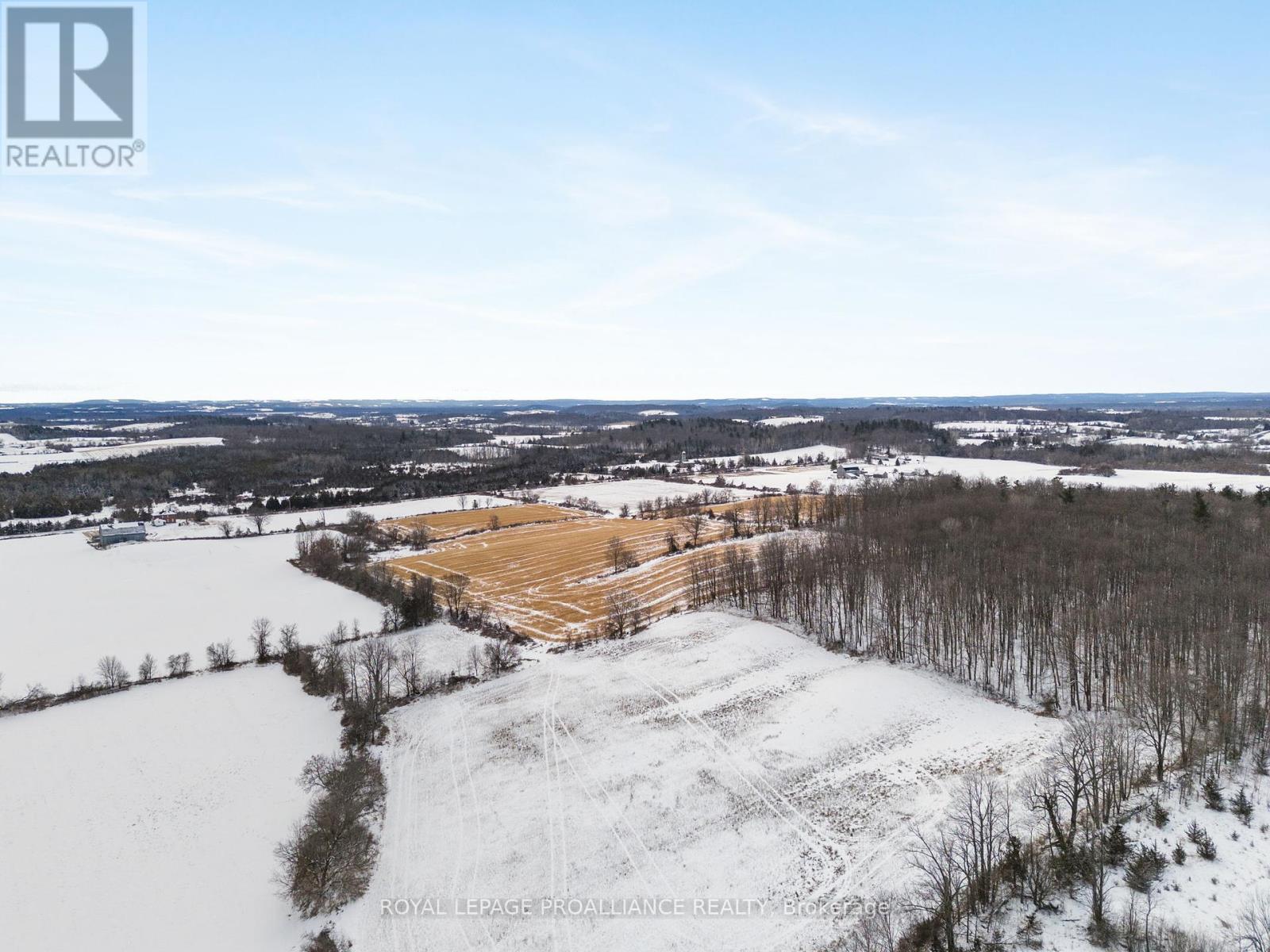 1302 Pethericks Road, Trent Hills, Ontario  K0L 1L0 - Photo 38 - X11933020
