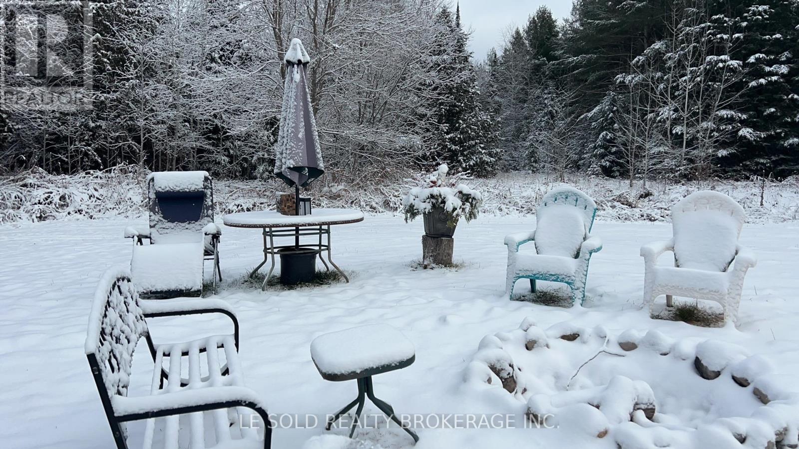 1033 County Road 6, Douro-Dummer, Ontario  K0L 2H0 - Photo 8 - X11934876