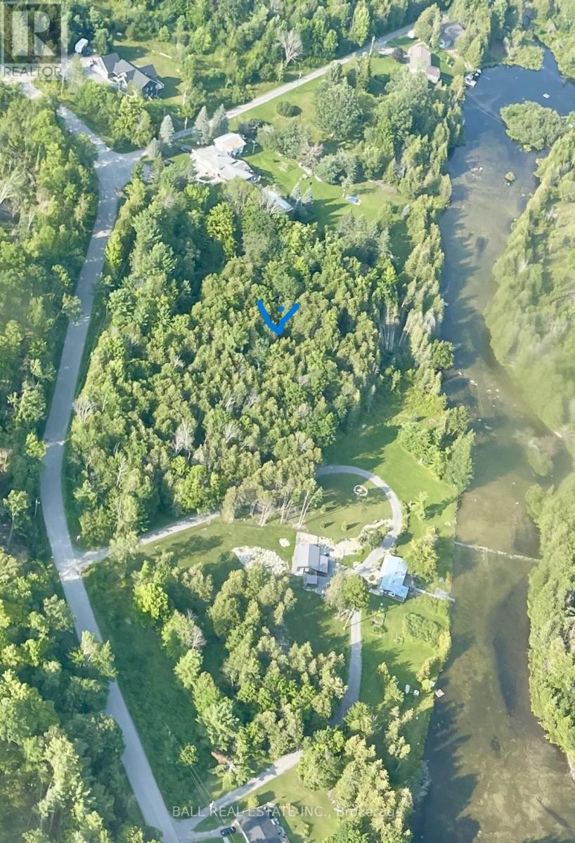 509-513 Sawmill Road, Douro-Dummer, Ontario  K0L 2H0 - Photo 11 - X11935682