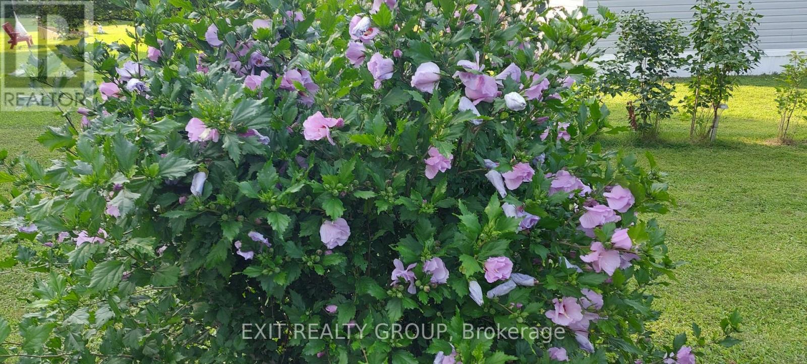 96 Sama Park Road, Havelock-Belmont-Methuen (Belmont-Methuen), Ontario  K0L 1Z0 - Photo 33 - X11943609