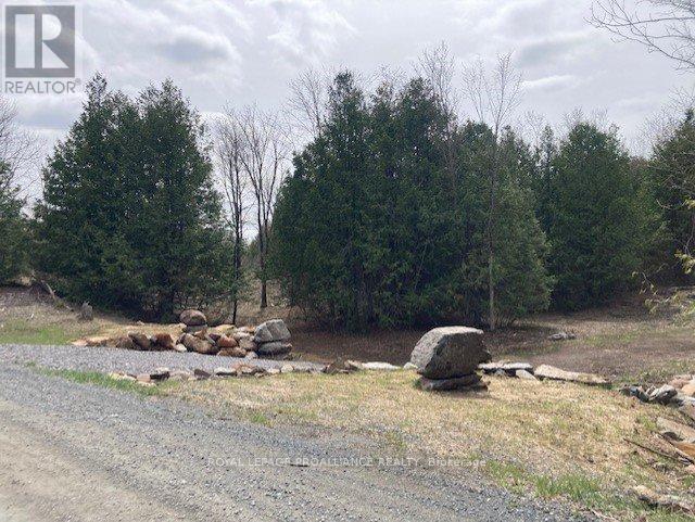 Lot 2 Vansickle Road N, Marmora And Lake, Ontario  K0L 0A7 - Photo 3 - X11943850