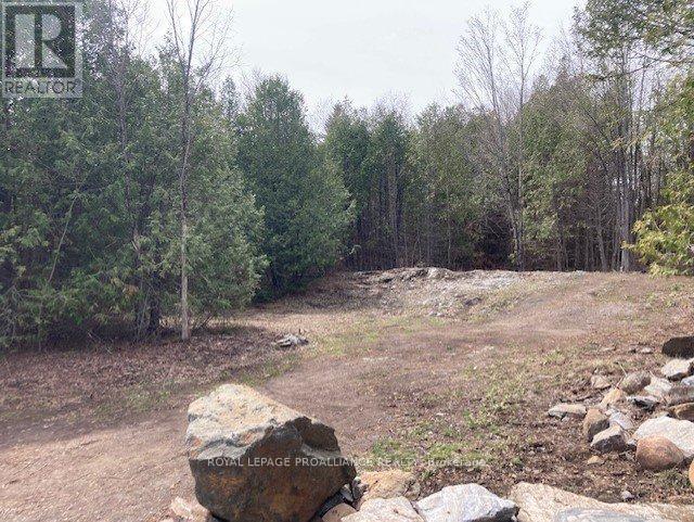 Lot 2 Vansickle Road N, Marmora And Lake, Ontario  K0L 0A7 - Photo 5 - X11943850