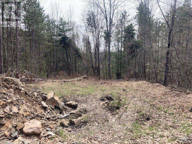 Lot 2 Vansickle Road N, Marmora And Lake, Ontario  K0L 0A7 - Photo 6 - X11943850