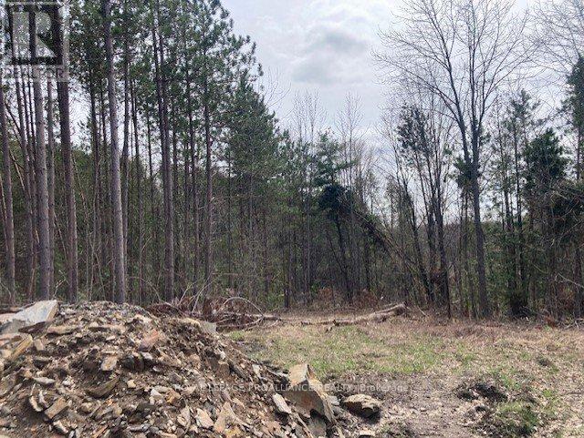 Lot 2 Vansickle Road N, Marmora And Lake, Ontario  K0L 0A7 - Photo 7 - X11943850