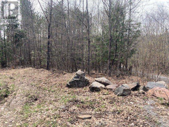 Lot 2 Vansickle Road N, Marmora And Lake, Ontario  K0L 0A7 - Photo 8 - X11943850