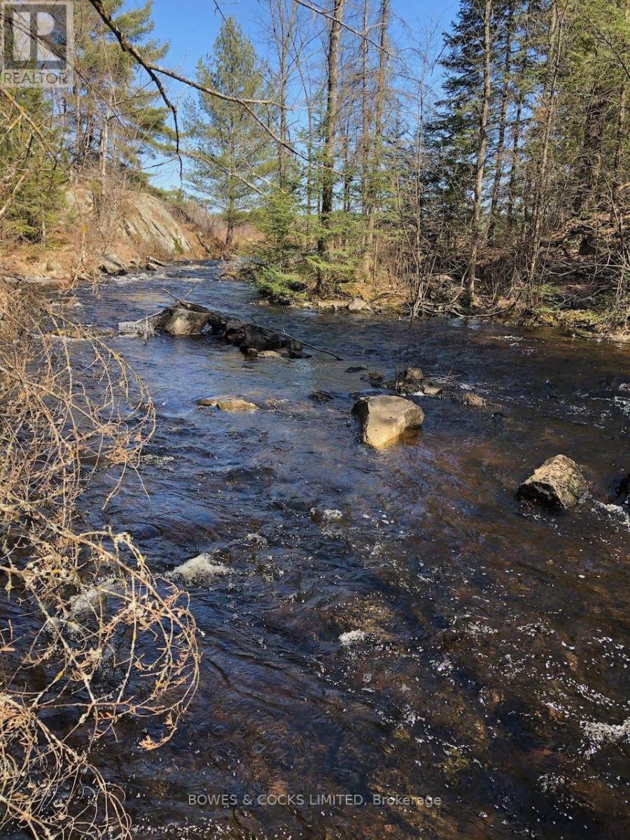 2449 The Ridge Road, Marmora And Lake (Lake Ward), Ontario  K0L 1P0 - Photo 44 - X11948786