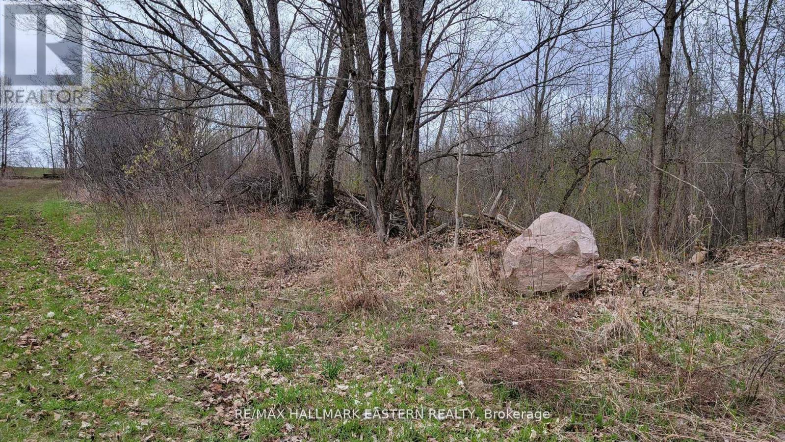 1737 Thirteenth Line, Selwyn, Ontario  K0L 2H0 - Photo 10 - X11950960