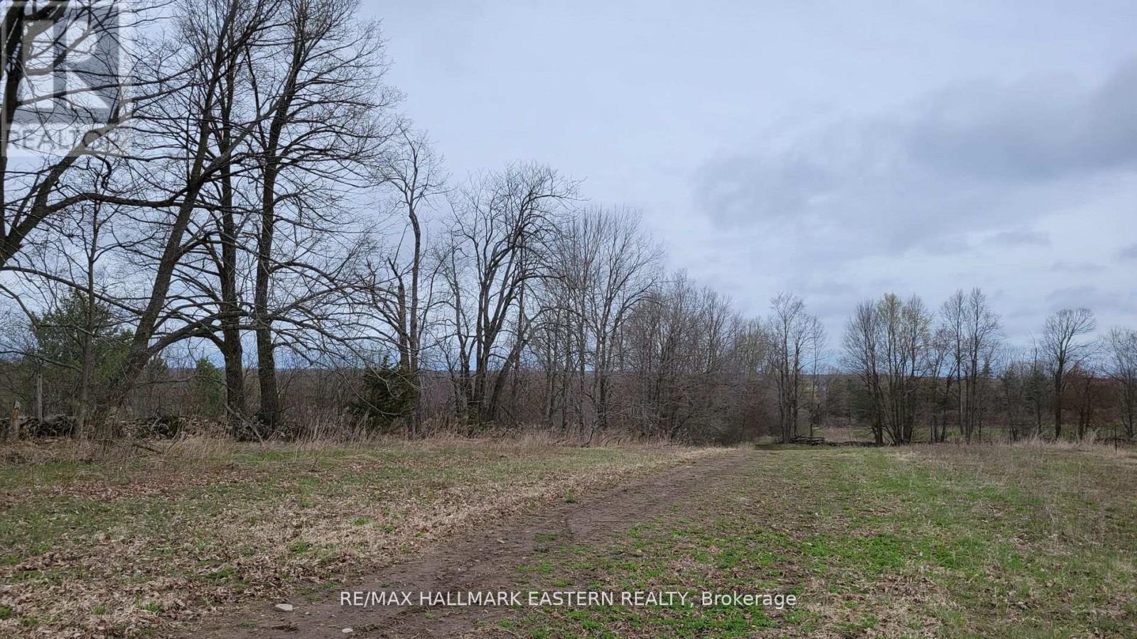 1737 Thirteenth Line, Selwyn, Ontario  K0L 2H0 - Photo 11 - X11950960