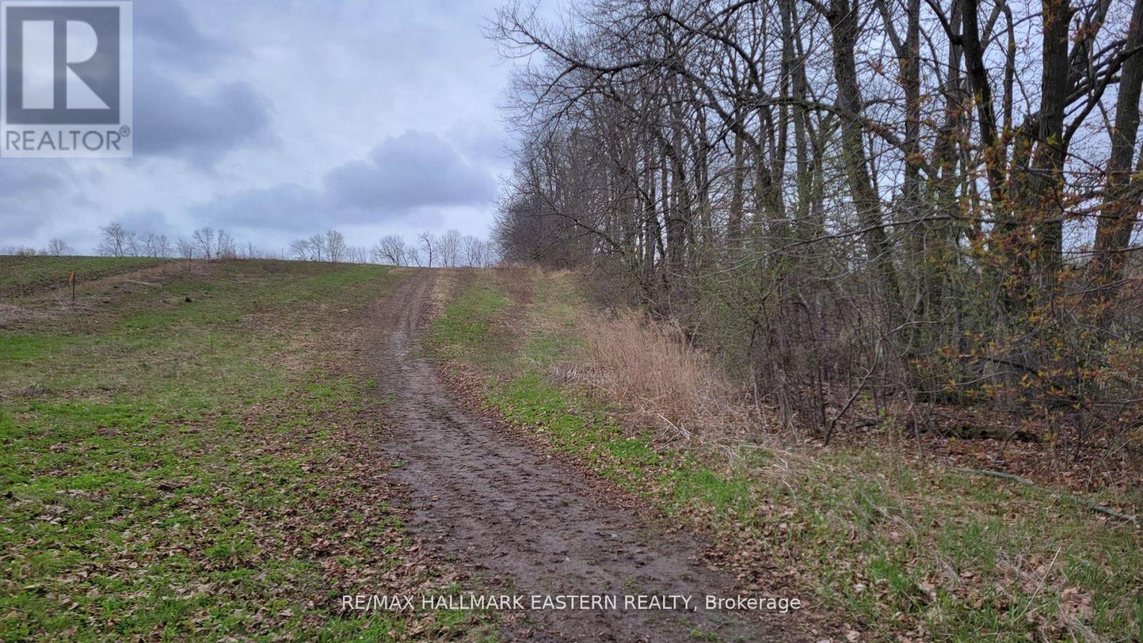 1737 Thirteenth Line, Selwyn, Ontario  K0L 2H0 - Photo 13 - X11950960