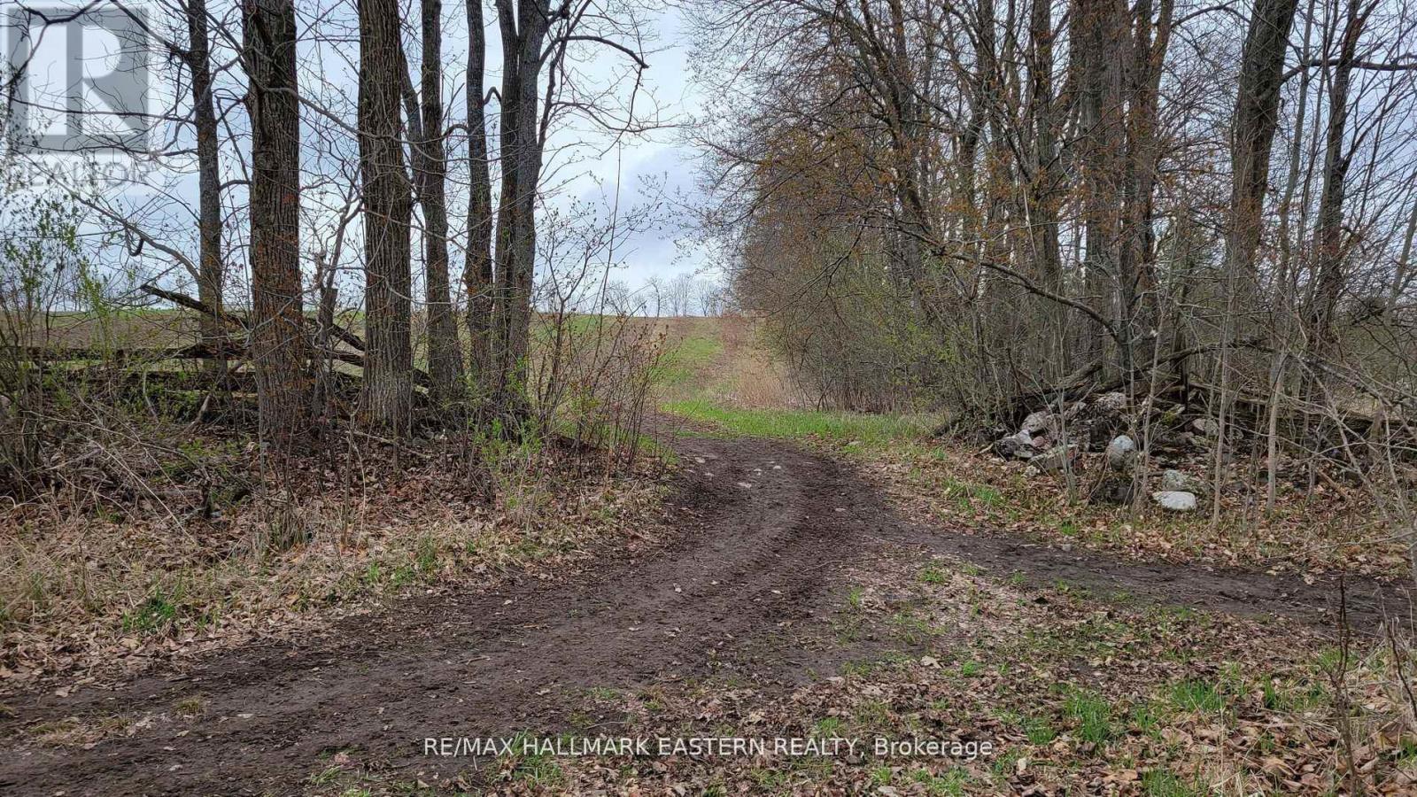 1737 Thirteenth Line, Selwyn, Ontario  K0L 2H0 - Photo 15 - X11950960