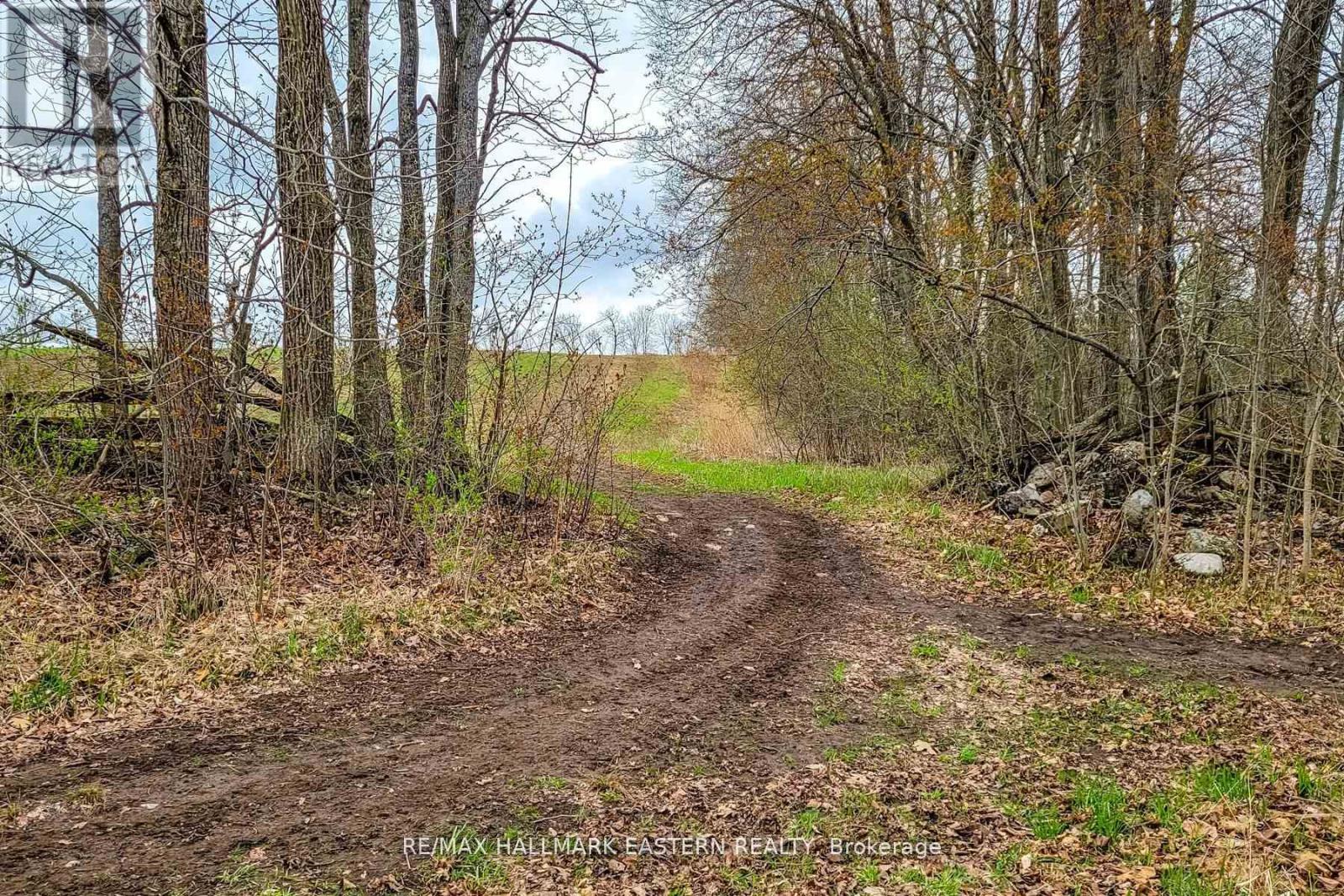 1737 Thirteenth Line, Selwyn, Ontario  K0L 2H0 - Photo 20 - X11950960