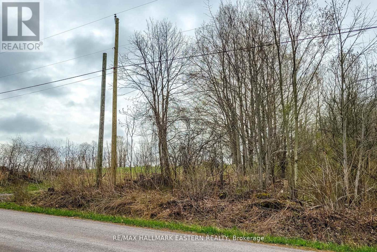 1737 Thirteenth Line, Selwyn, Ontario  K0L 2H0 - Photo 3 - X11950960