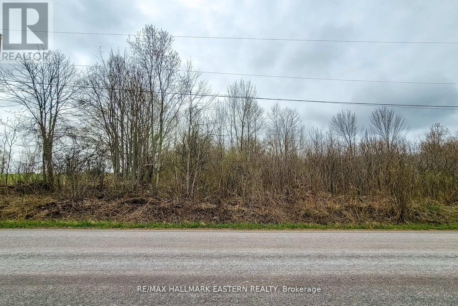 1737 Thirteenth Line, Selwyn, Ontario  K0L 2H0 - Photo 4 - X11950960