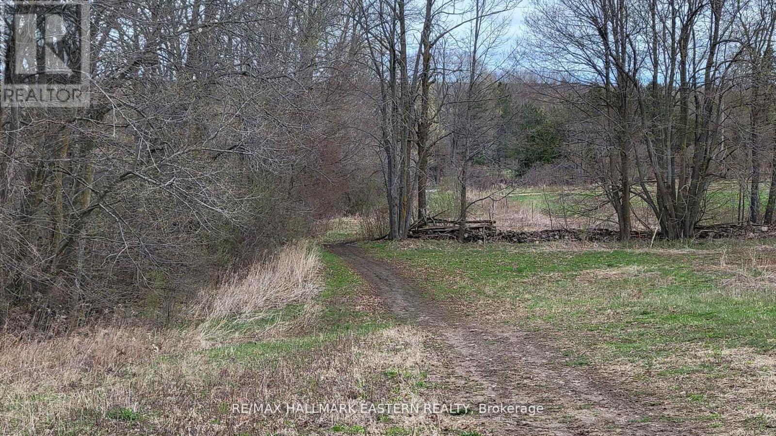 1737 Thirteenth Line, Selwyn, Ontario  K0L 2H0 - Photo 7 - X11950960