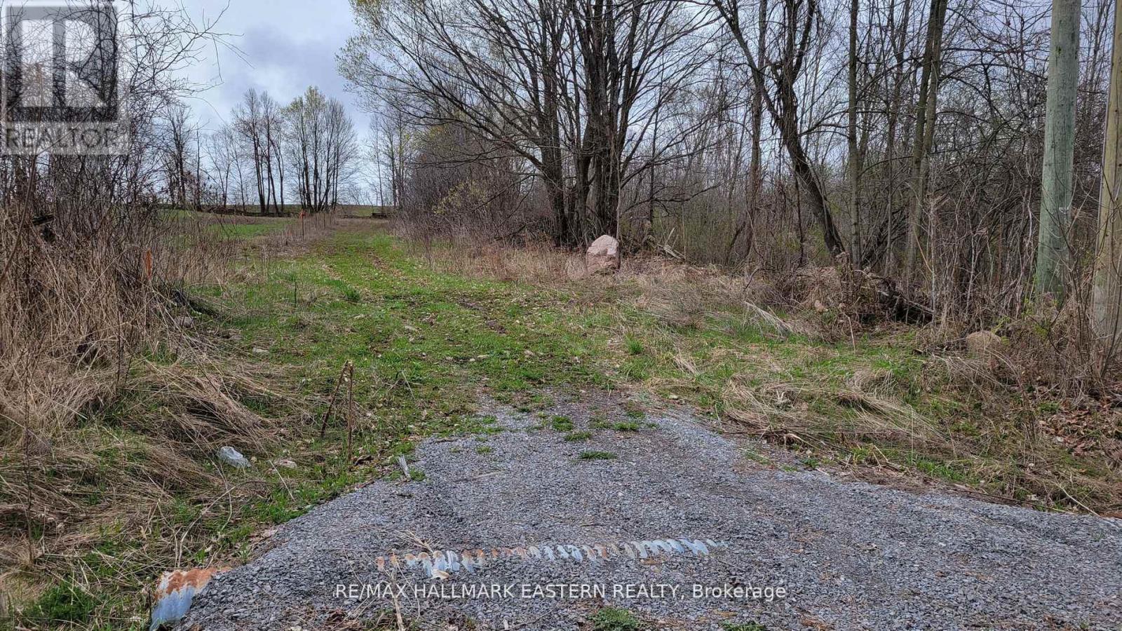 1737 Thirteenth Line, Selwyn, Ontario  K0L 2H0 - Photo 9 - X11950960