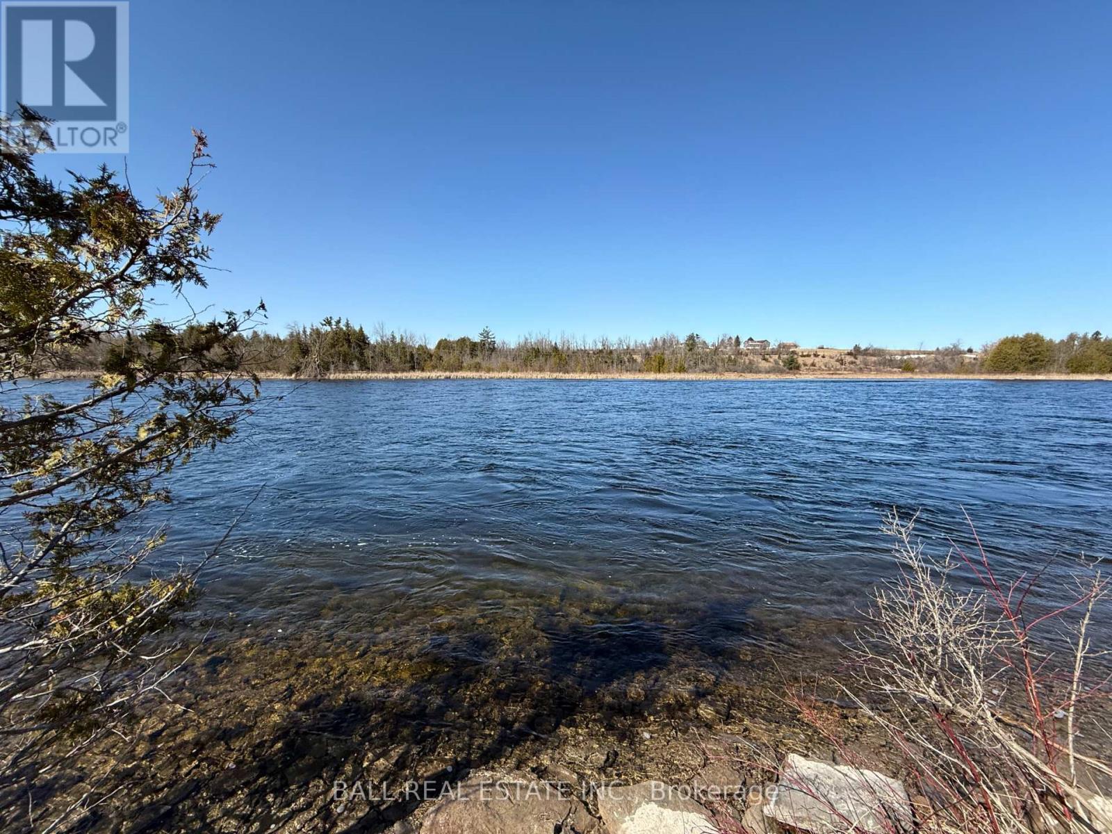 4267 County Road 32, Douro-Dummer, Ontario  K0L 2H0 - Photo 38 - X11952336