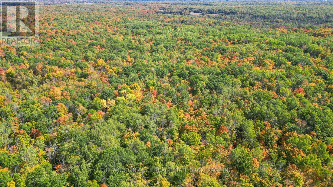 0east2 Road Allowance Road, Havelock-Belmont-Methuen (Belmont-Methuen), Ontario  K0L 1Z0 - Photo 11 - X11953175