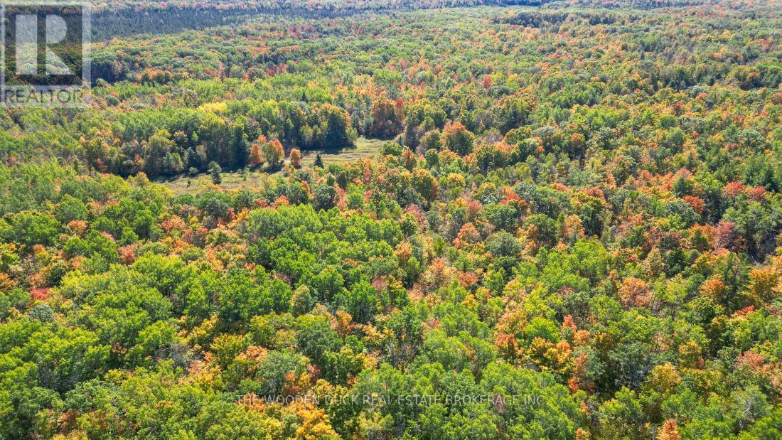 0east2 Road Allowance Road, Havelock-Belmont-Methuen (Belmont-Methuen), Ontario  K0L 1Z0 - Photo 13 - X11953175