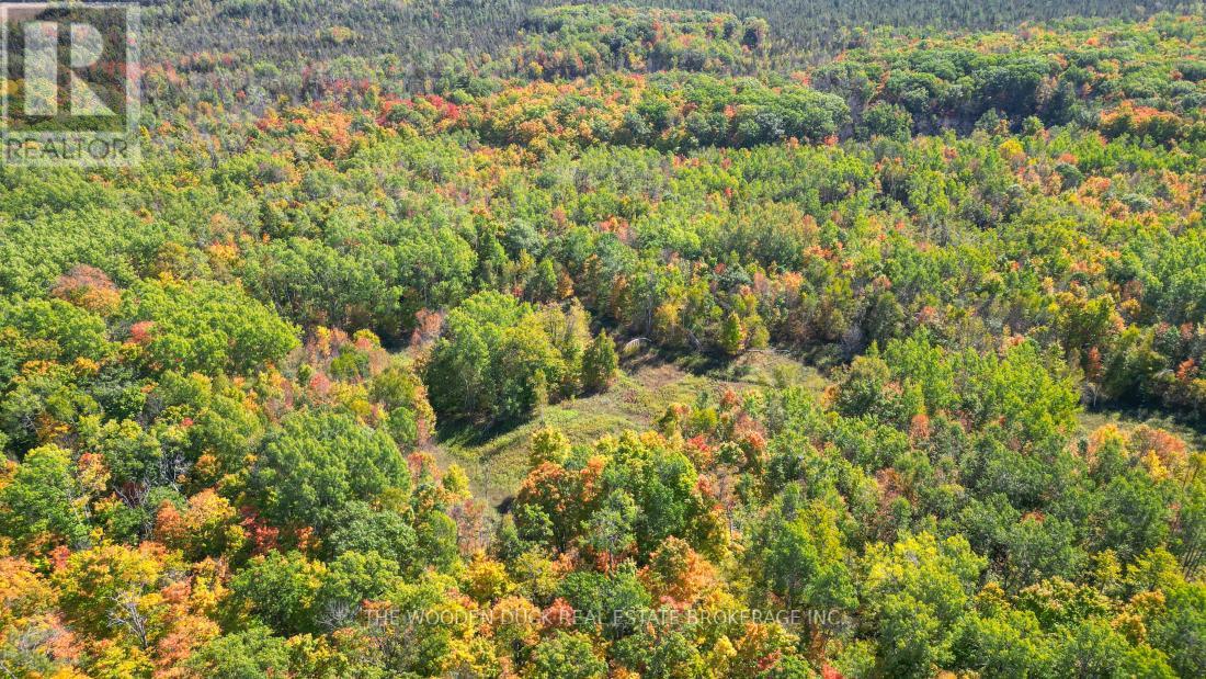 0east2 Road Allowance Road, Havelock-Belmont-Methuen (Belmont-Methuen), Ontario  K0L 1Z0 - Photo 15 - X11953175