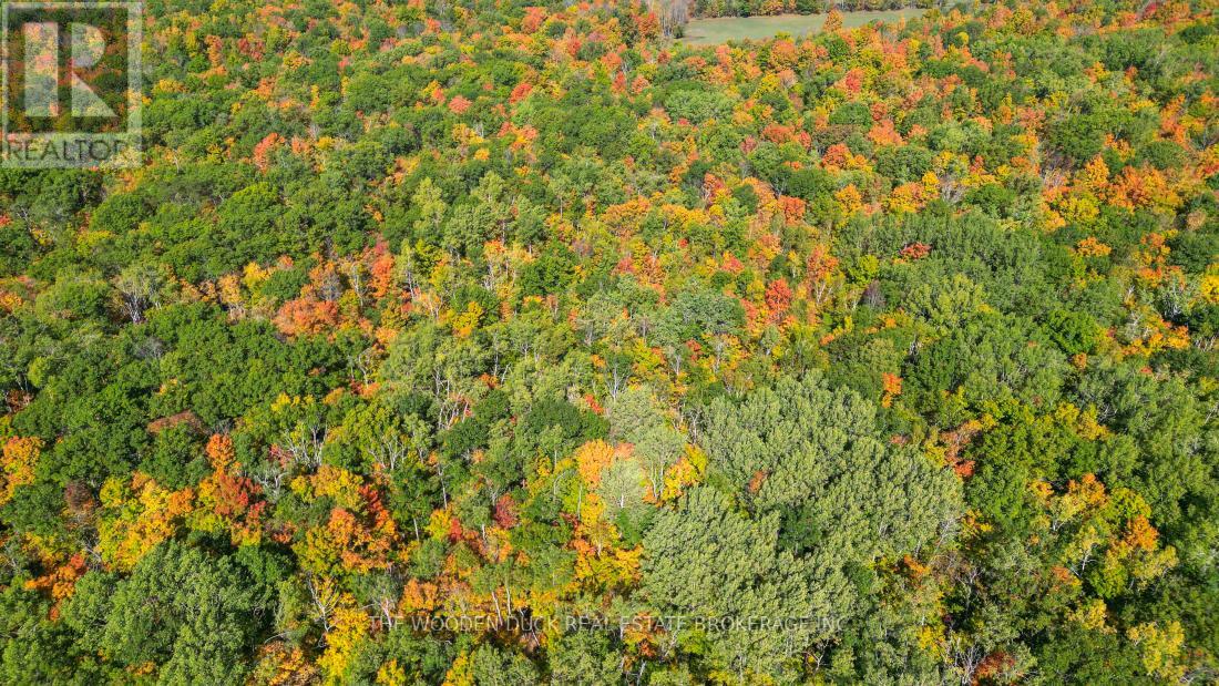 0east2 Road Allowance Road, Havelock-Belmont-Methuen (Belmont-Methuen), Ontario  K0L 1Z0 - Photo 20 - X11953175