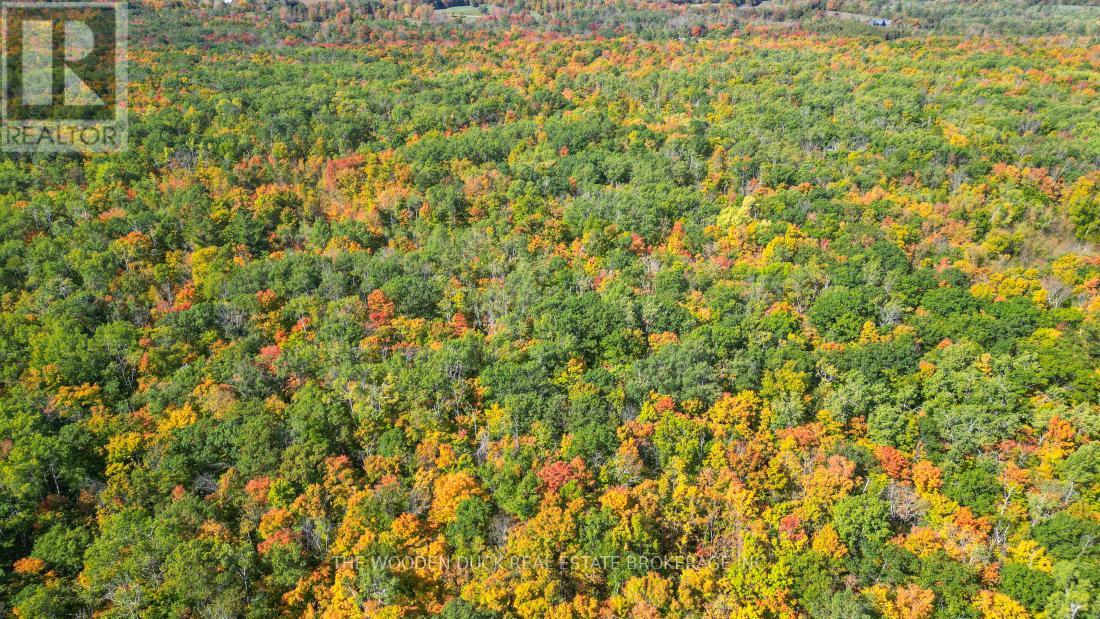 0east2 Road Allowance Road, Havelock-Belmont-Methuen (Belmont-Methuen), Ontario  K0L 1Z0 - Photo 22 - X11953175