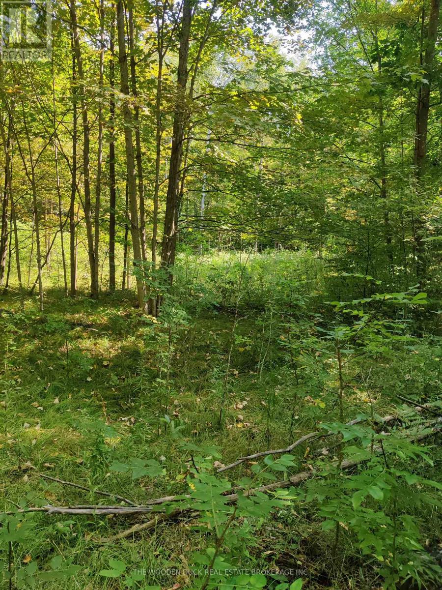 0EAST1 ROAD ALLOWANCE ROAD, havelock-belmont-methuen (belmont-methuen), Ontario