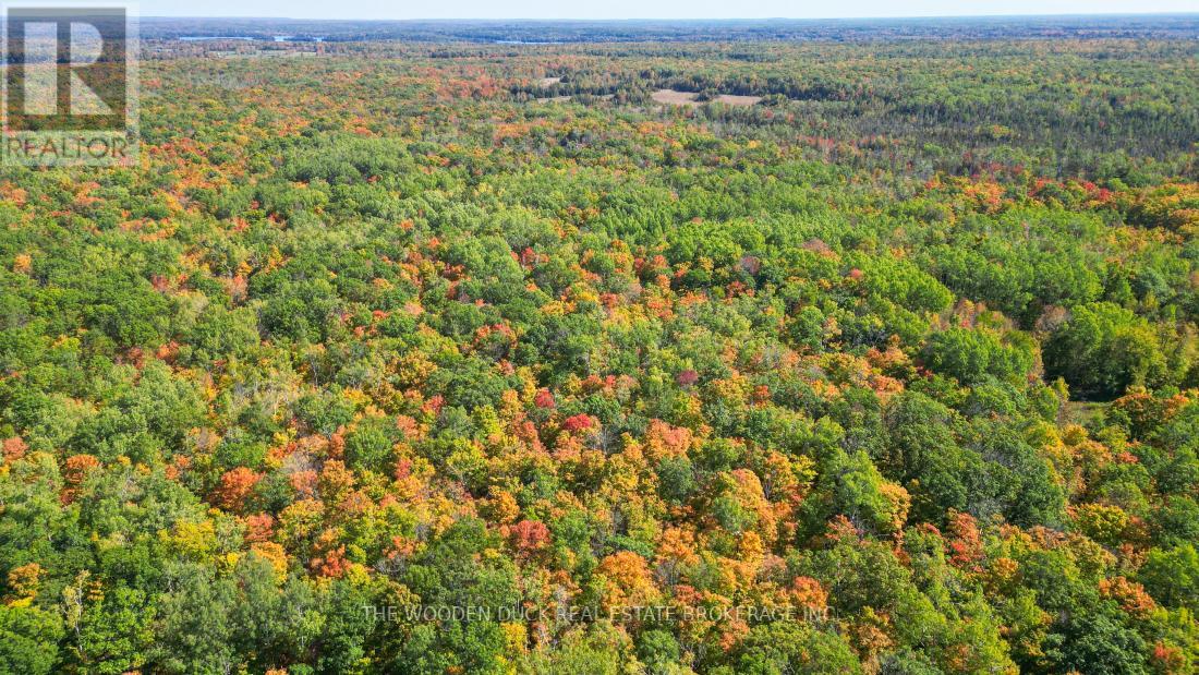 0east1 Road Allowance Road, Havelock-Belmont-Methuen (Belmont-Methuen), Ontario  K0L 1Z0 - Photo 10 - X11953181