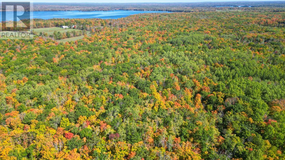 0east1 Road Allowance Road, Havelock-Belmont-Methuen (Belmont-Methuen), Ontario  K0L 1Z0 - Photo 12 - X11953181