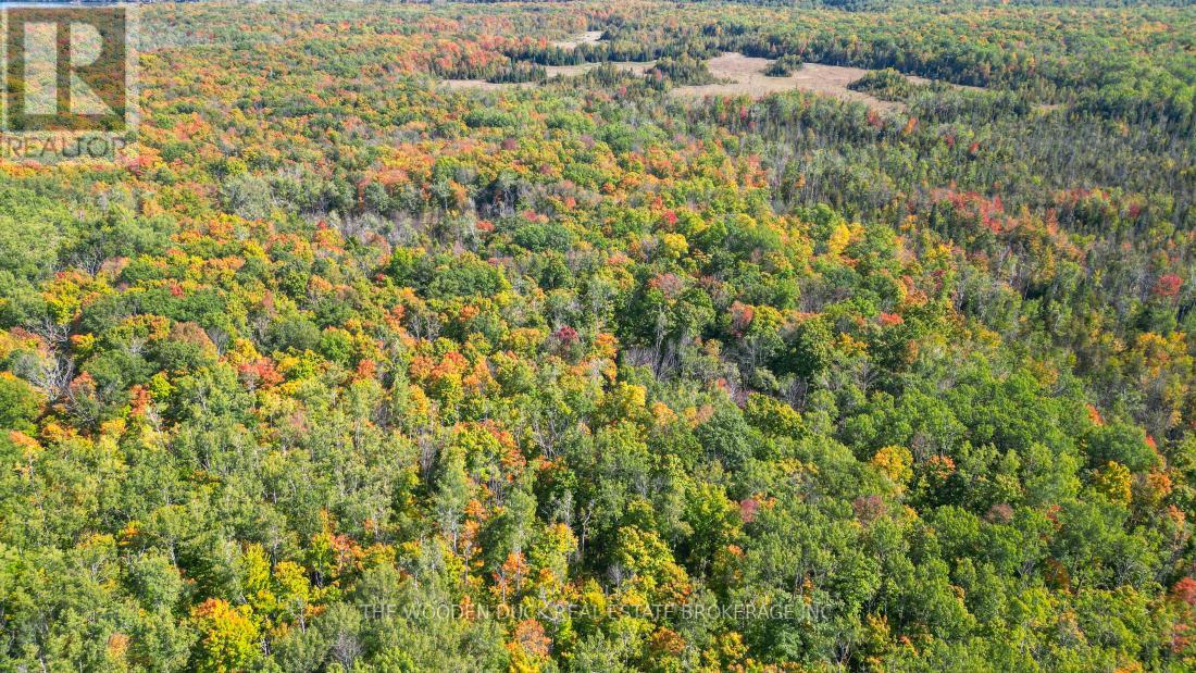 0east1 Road Allowance Road, Havelock-Belmont-Methuen (Belmont-Methuen), Ontario  K0L 1Z0 - Photo 13 - X11953181