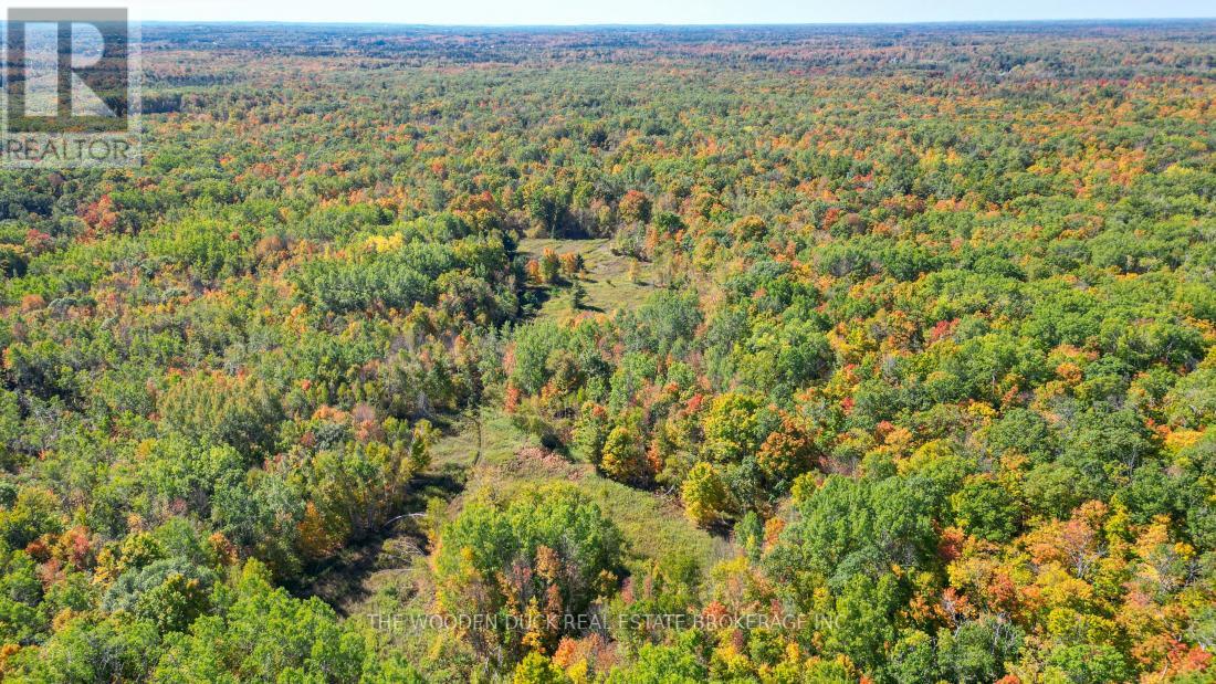 0east1 Road Allowance Road, Havelock-Belmont-Methuen (Belmont-Methuen), Ontario  K0L 1Z0 - Photo 14 - X11953181