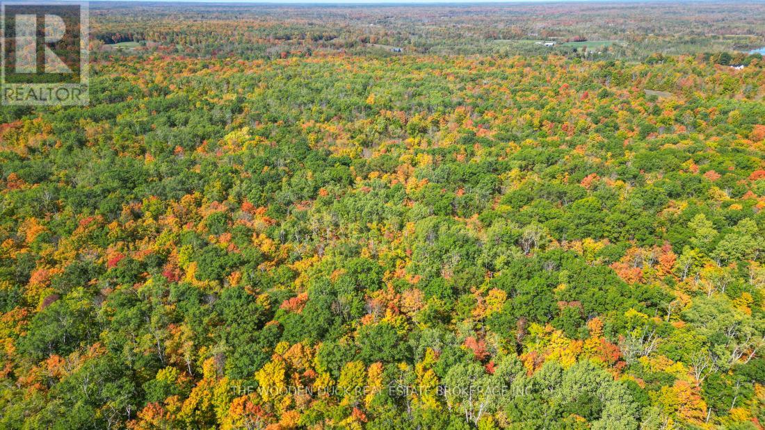 0east1 Road Allowance Road, Havelock-Belmont-Methuen (Belmont-Methuen), Ontario  K0L 1Z0 - Photo 15 - X11953181