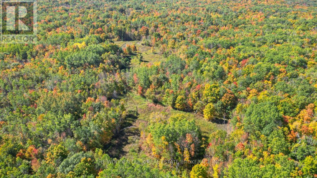 0east1 Road Allowance Road, Havelock-Belmont-Methuen (Belmont-Methuen), Ontario  K0L 1Z0 - Photo 17 - X11953181