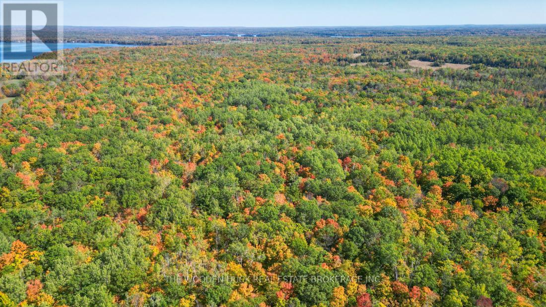 0east1 Road Allowance Road, Havelock-Belmont-Methuen (Belmont-Methuen), Ontario  K0L 1Z0 - Photo 19 - X11953181