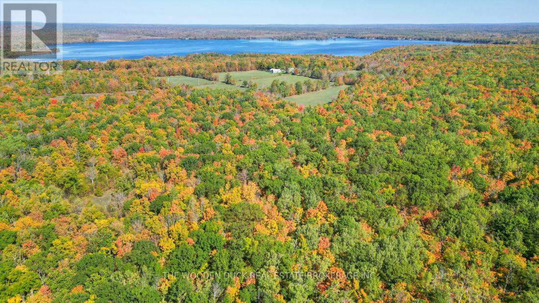 0east1 Road Allowance Road, Havelock-Belmont-Methuen (Belmont-Methuen), Ontario  K0L 1Z0 - Photo 6 - X11953181