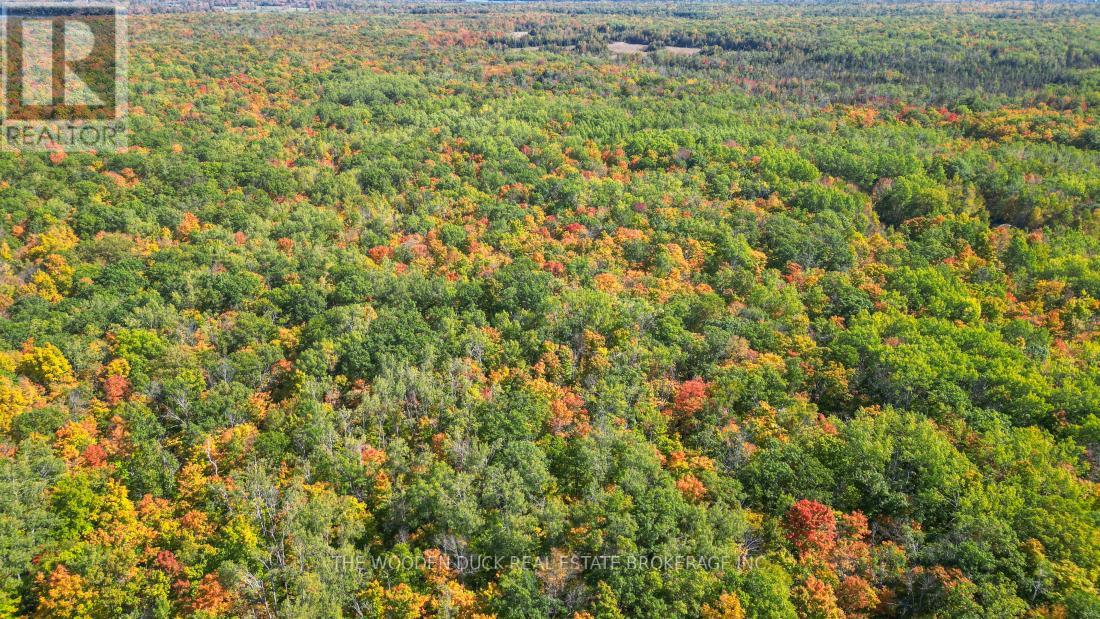 0east1 Road Allowance Road, Havelock-Belmont-Methuen (Belmont-Methuen), Ontario  K0L 1Z0 - Photo 8 - X11953181