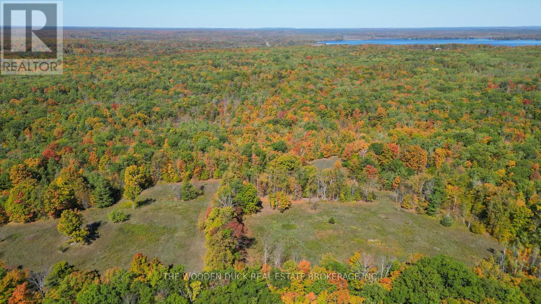 0west Road Allowance Road, Havelock-Belmont-Methuen (Belmont-Methuen), Ontario  K0L 1Z0 - Photo 11 - X11953185