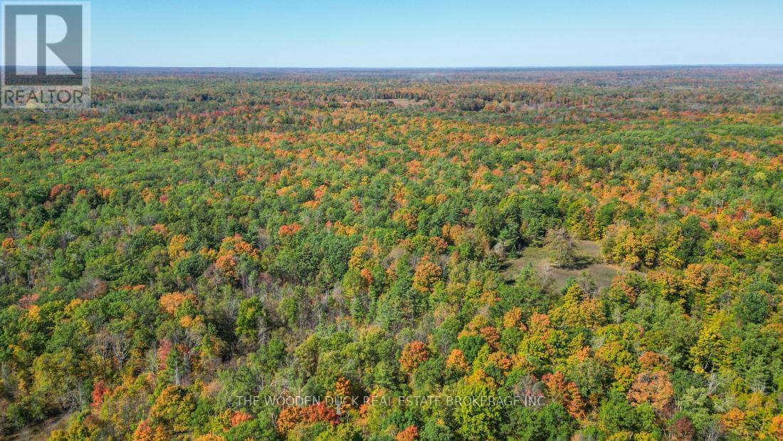 0west Road Allowance Road, Havelock-Belmont-Methuen (Belmont-Methuen), Ontario  K0L 1Z0 - Photo 13 - X11953185