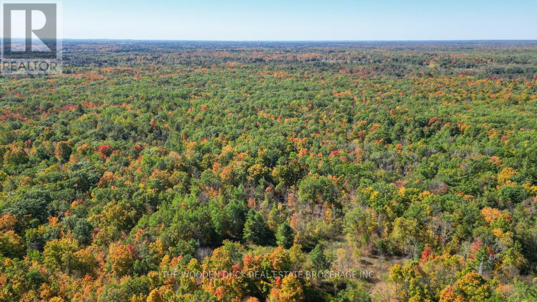 0west Road Allowance Road, Havelock-Belmont-Methuen (Belmont-Methuen), Ontario  K0L 1Z0 - Photo 14 - X11953185