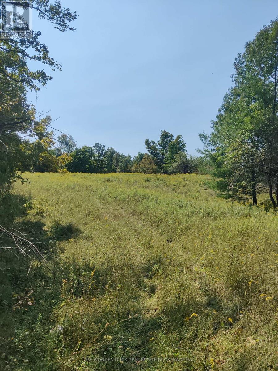 0west Road Allowance Road, Havelock-Belmont-Methuen (Belmont-Methuen), Ontario  K0L 1Z0 - Photo 5 - X11953185