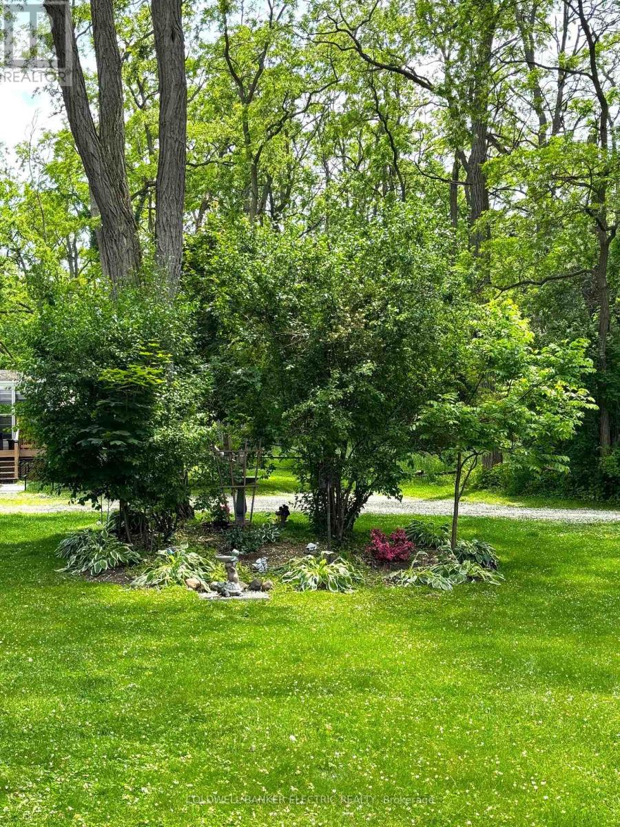 485b - 5139 Halstead Beach Road, Hamilton Township (Bewdley), Ontario  K0L 1E0 - Photo 32 - X11957345