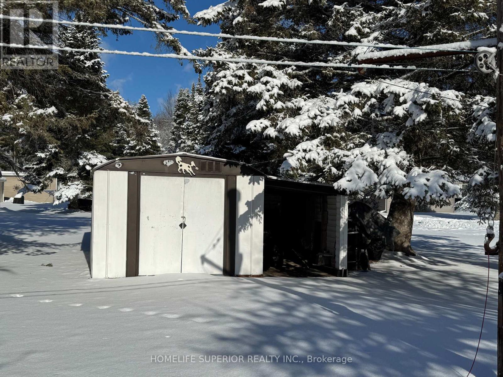 37 Methuen Street, Havelock-Belmont-Methuen (Belmont-Methuen), Ontario  K0L 1Z0 - Photo 5 - X11960558