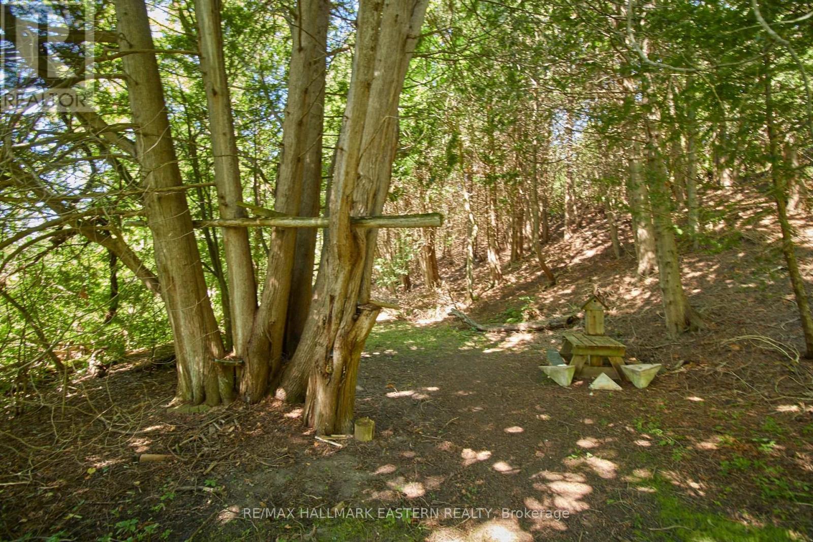 732 Zion 4th Line, Cavan Monaghan (Cavan Twp), Ontario  L0A 1G0 - Photo 10 - X11961693