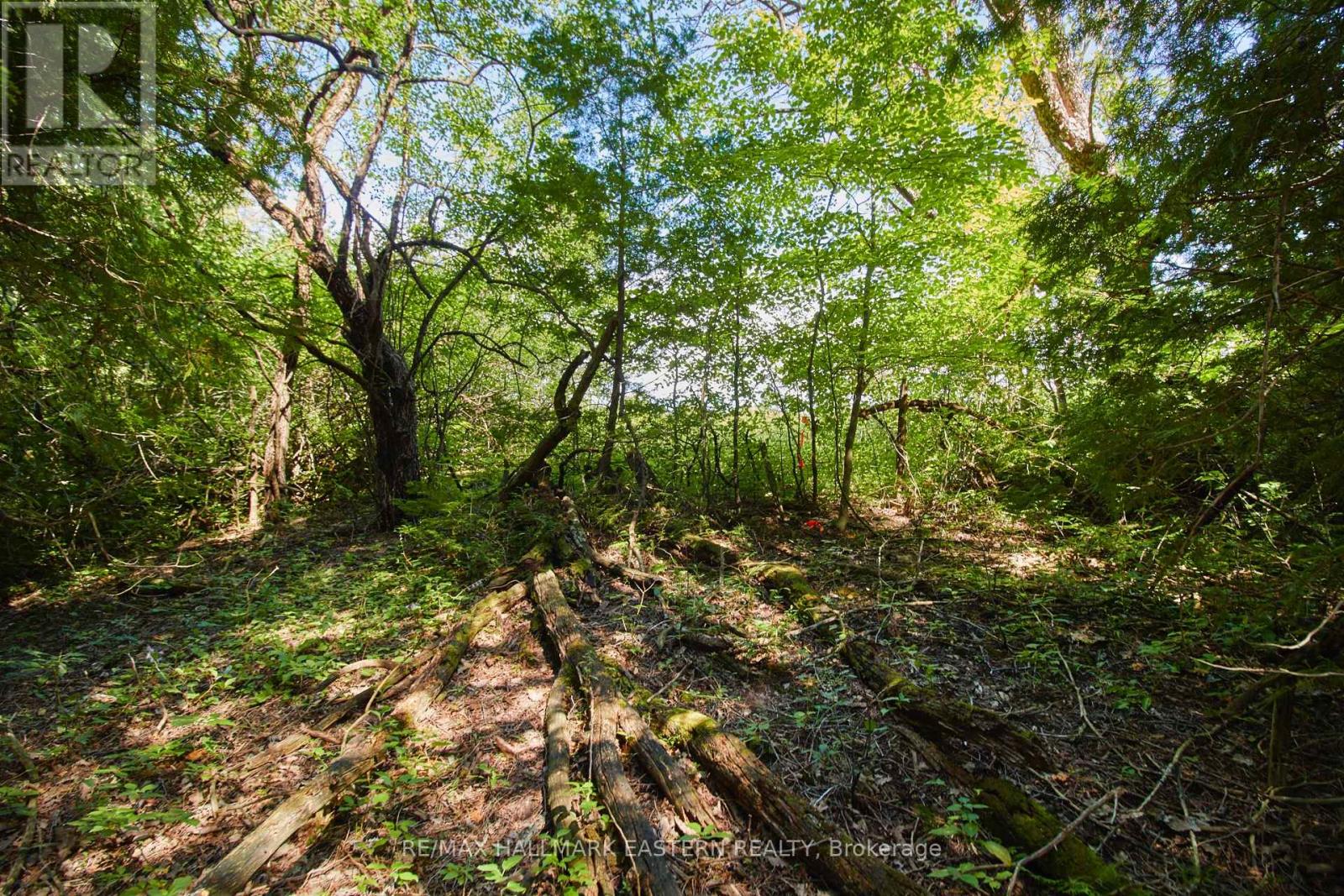 732 Zion 4th Line, Cavan Monaghan (Cavan Twp), Ontario  L0A 1G0 - Photo 12 - X11961693