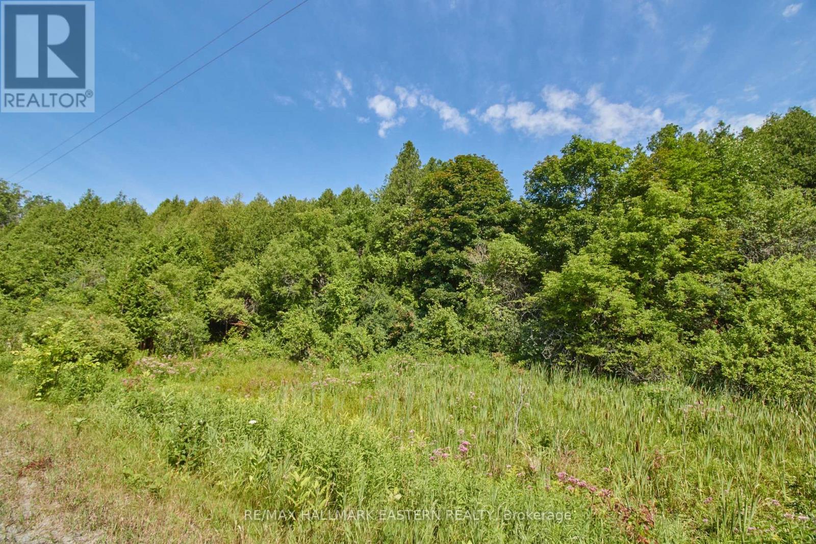 732 Zion 4th Line, Cavan Monaghan (Cavan Twp), Ontario  L0A 1G0 - Photo 15 - X11961693