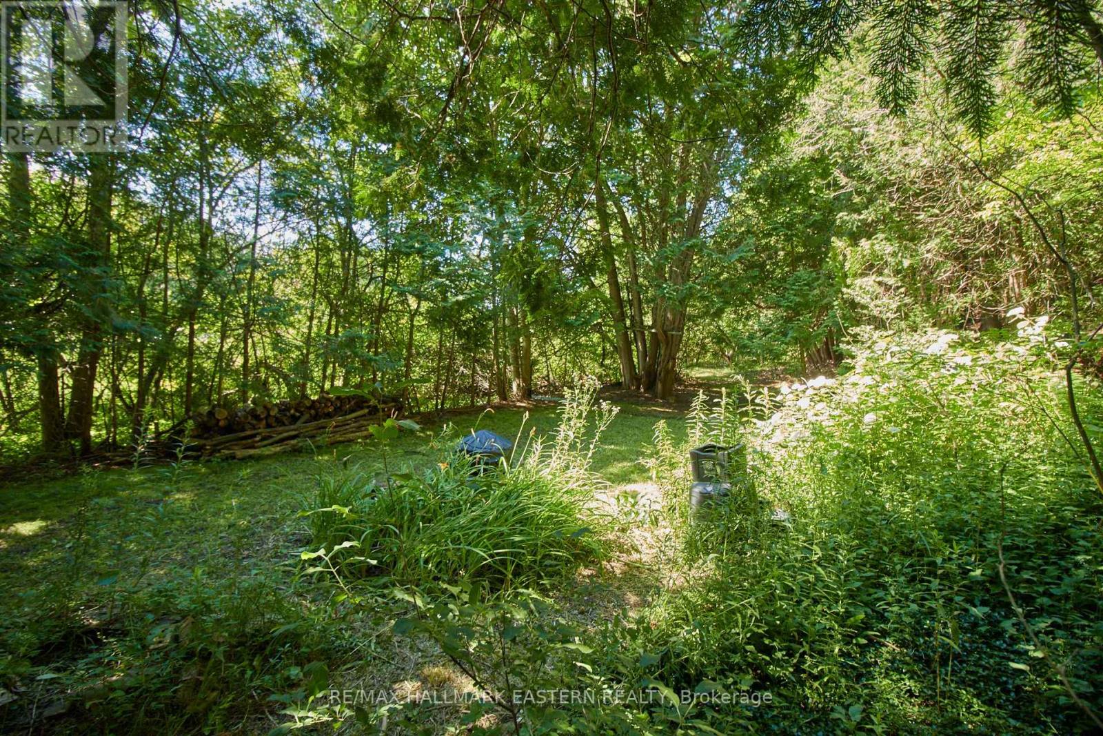 732 Zion 4th Line, Cavan Monaghan (Cavan Twp), Ontario  L0A 1G0 - Photo 4 - X11961693