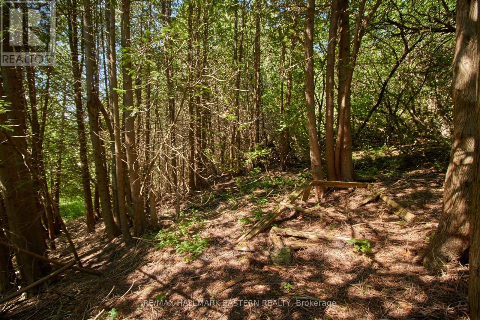 732 Zion 4th Line, Cavan Monaghan (Cavan Twp), Ontario  L0A 1G0 - Photo 5 - X11961693