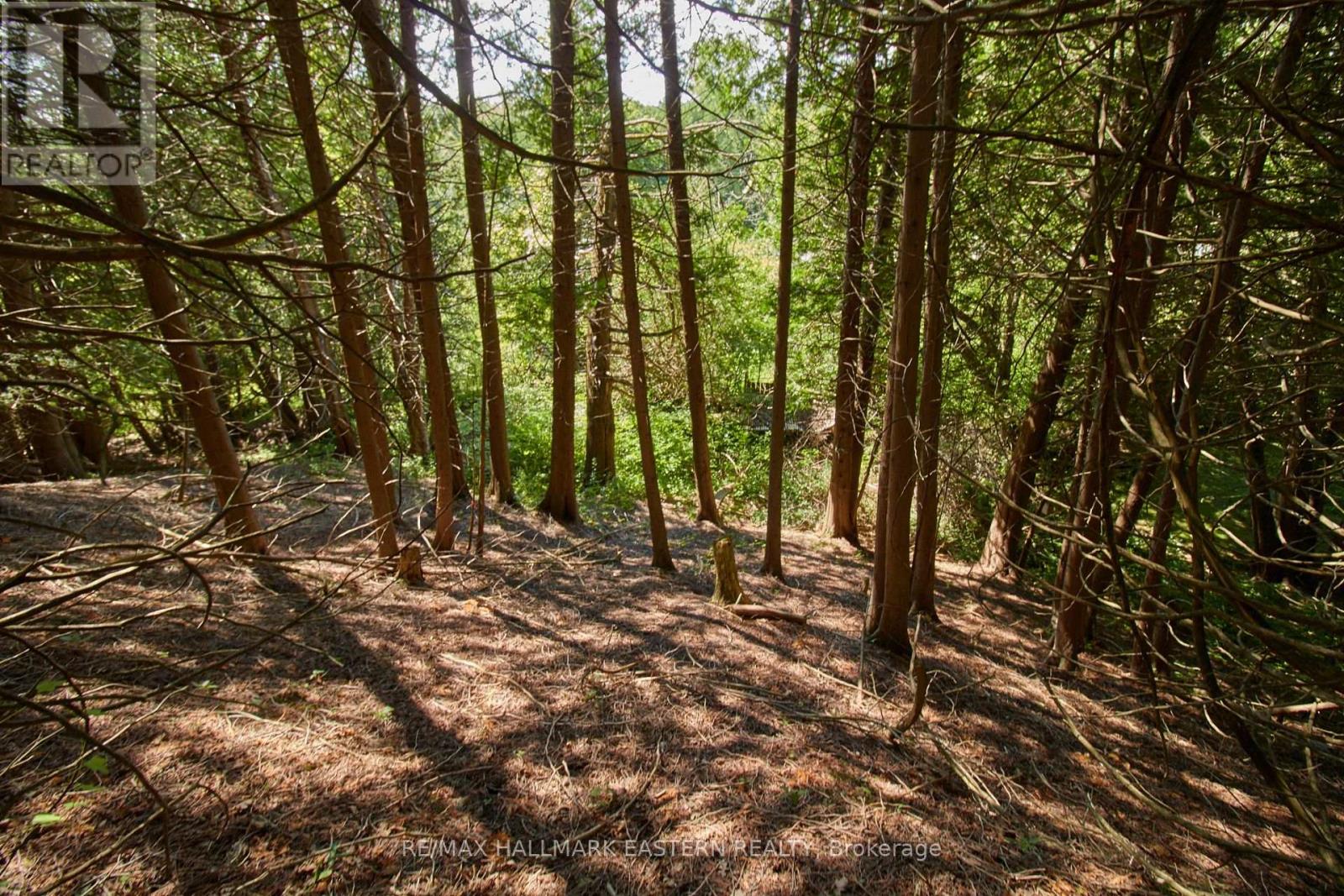 732 Zion 4th Line, Cavan Monaghan (Cavan Twp), Ontario  L0A 1G0 - Photo 6 - X11961693